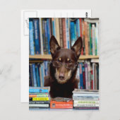 Der Bibliothekar Postkarte (Vorne/Hinten)
