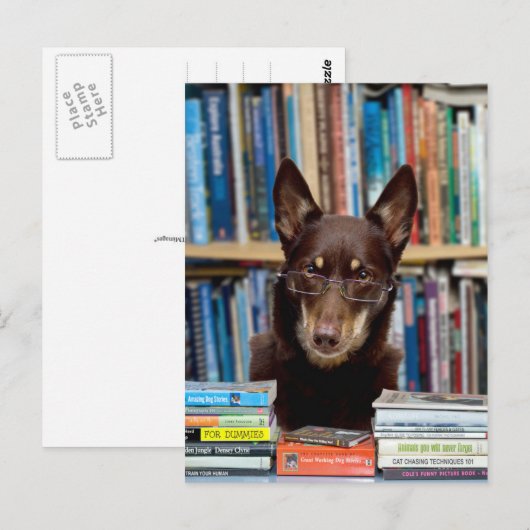 Der Bibliothekar Postkarte (Vorne/Hinten)