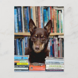 Der Bibliothekar Postkarte