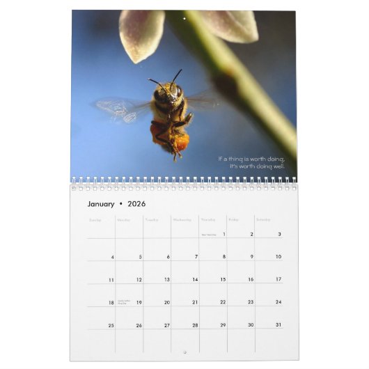 Der Bienenkalender 2024 Honig und Hummeln Kalender (Jan 2026)