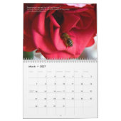 Der Bienenkalender 2025 - Honig und Hummeln Kalender (Mär 2027)