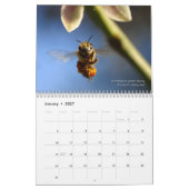 Der Bienenkalender 2025 - Honig und Hummeln Kalender (Jan 2027)
