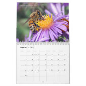 Der Bienenkalender 2025 - Honig und Hummeln Kalender (Feb 2027)