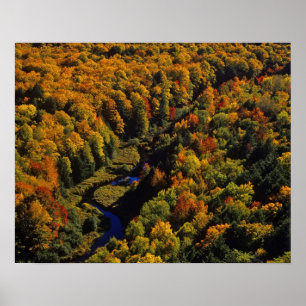 Der Big Carp River im Herbst in Porcupine Poster