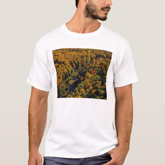 Der Big Carp River im Herbst in Porcupine T-Shirt (Vorderseite)