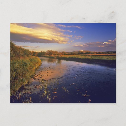 Der Big Hole River am letzten Licht in der Nähe vo Postkarte (Vorderseite)