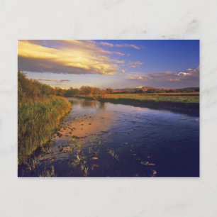 Der Big Hole River im letzten Licht bei Jackson Postkarte