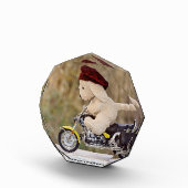 Der Biker - Hund - Fotoblock (Rechts)