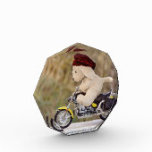 Der Biker - Hund - Fotoblock (Links)
