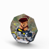 Der Biker - Teddy - Fotoblock (Rechts)
