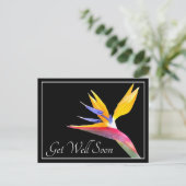Der Bird of Paradise Black Background wird gut Postkarte (Stehend Vorderseite)