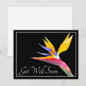 Der Bird of Paradise Black Background wird gut Postkarte (Vorne/Hinten)