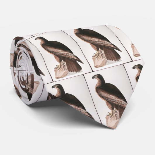 Der Bird of Washington, Audubon Krawatte (Gerollt)