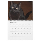 DER BLACK CAT-Kalender Kalender (Feb 2027)