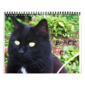 DER BLACK CAT-Kalender Kalender (Titelbild)