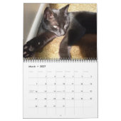 DER BLACK CAT-Kalender Kalender (Mär 2027)