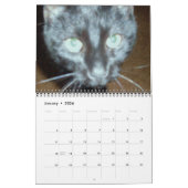 DER BLACK CAT-Kalender Kalender (Jan 2026)