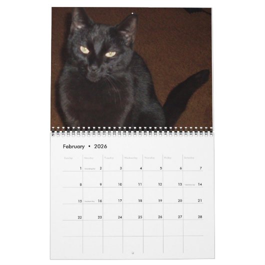 DER BLACK CAT-Kalender Kalender (Feb 2026)