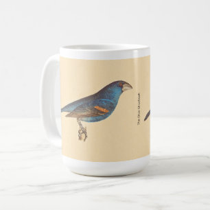 Der blaue Grosbeak, James De Kays New Yorker Vögel Kaffeetasse
