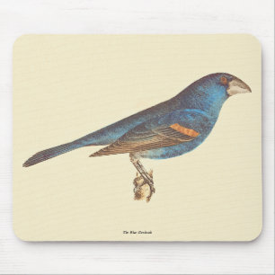 Der blaue Grosbeak, James De Kays New Yorker Vögel Mousepad