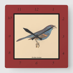 Der blaue Grosbeak, James De Kays New Yorker Vögel Quadratische Wanduhr