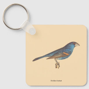 Der blaue Grosbeak, James De Kays New Yorker Vögel Schlüsselanhänger