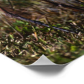 Der Blaue Heringsvogel wurde überall gefunden Poster (Ecke)