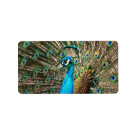Der blaue Pfau Adressaufkleber