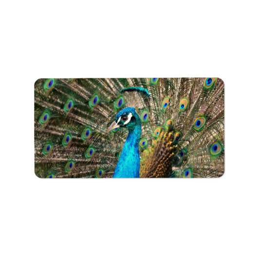 Der blaue Pfau Adressaufkleber (Vorne)