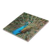 Der blaue Pfau Fliese (Seite)