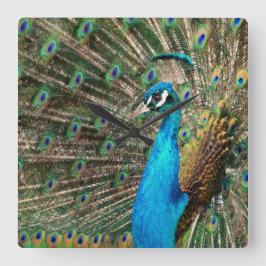 Der blaue Pfau Quadratische Wanduhr