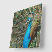 Der blaue Pfau Quadratische Wanduhr (Winkel)