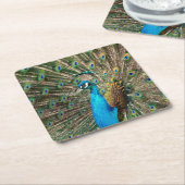 Der blaue Pfau Rechteckiger Pappuntersetzer (angewinkelt)