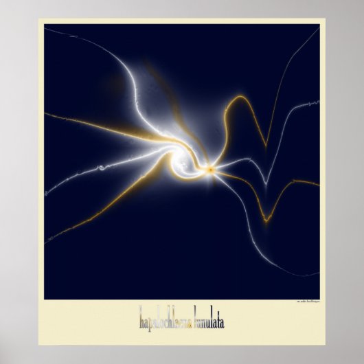 der blaue Ringoktopus Poster (Vorne)