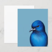 Der blaue Vogel (Vorne/Hinten)