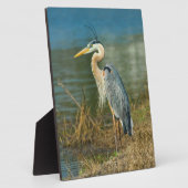 Der Blaue Vogel am Teich Fotoplatte (Seite)