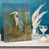 Der Blaue Vogel am Teich Fotoplatte (Seite)