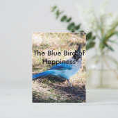 Der blaue Vogel des Glücks Postkarte (Stehend Vorderseite)
