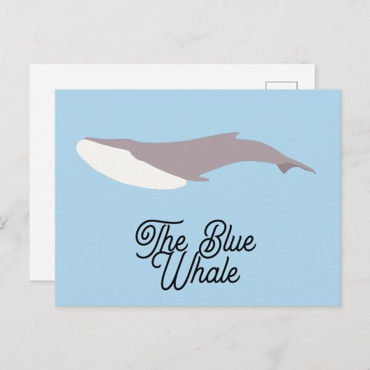 Der Blauwal-Farbblock Feiertagspostkarte (Vorne/Hinten)