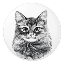 Der Bleistift, der Katzen-Gesichts-Fach zeichnet,