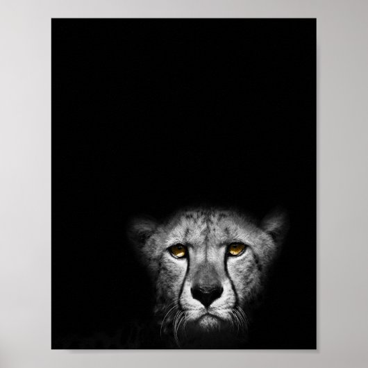 Der Blick auf den Blick, Leopard, Schwarz-Weiß-Fot Poster (Vorne)