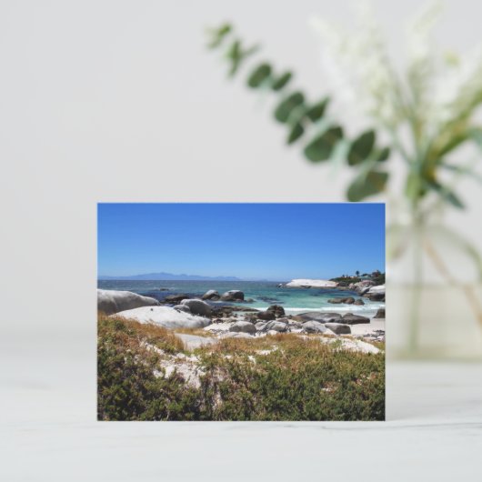 Der Blick auf den Strand von Boulders und seine be Postkarte (Stehend Vorderseite)