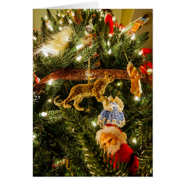 Der Blick auf den Weihnachtsbaum (Vorne)