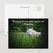 Der Blick auf den Wolf reicht... Postkarte (Vorne/Hinten)