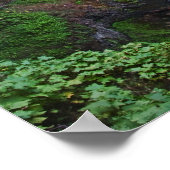 Der Blick auf die South Falls in Silver Falls Staa Poster (Ecke)