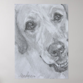 Der Blick der Liebe Poster