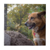 Der Blick der Loyalität Fliese (Vorderseite)