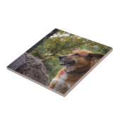 Der Blick der Loyalität Fliese (Seite)