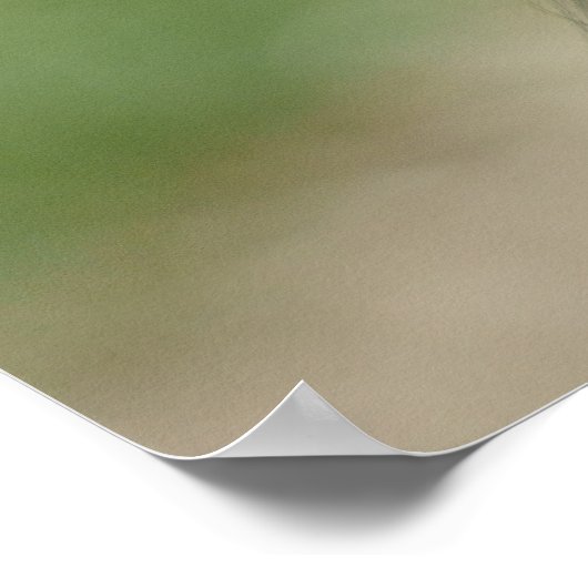 Der Blick des Bonobo Poster (Ecke)