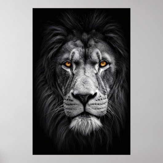 Der Blick des Königs Poster (Vorne)